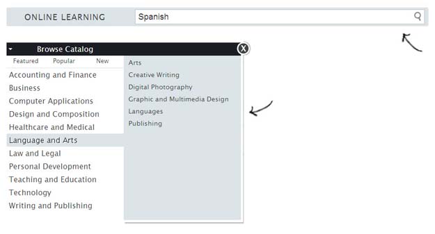 Catalog Navigation and Search