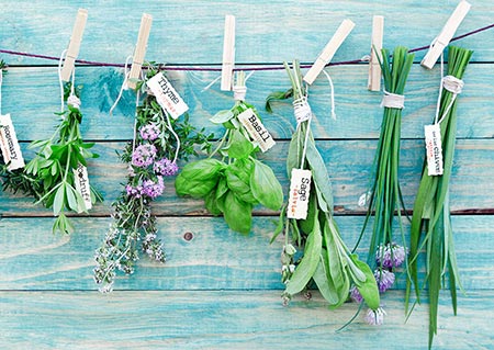 naturopathic-schools-course