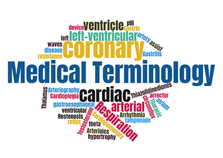 medical-terminology-series